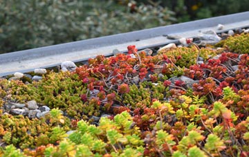 the cost of Morningthorpe green roof installation